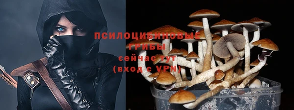 MDMA Premium VHQ Гусиноозёрск