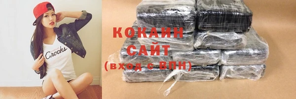 спиды Гусев