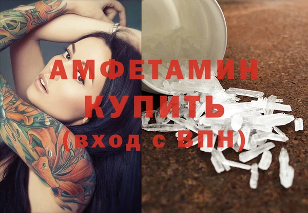 спиды Гусев