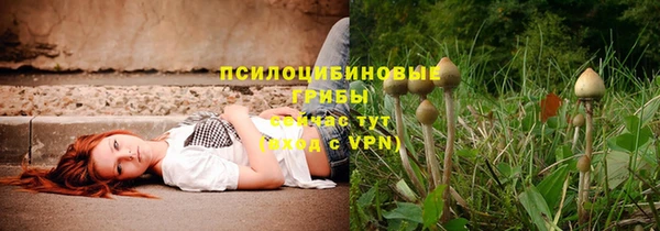 спиды Гусев