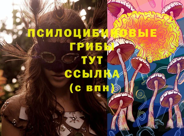 MDMA Premium VHQ Гусиноозёрск